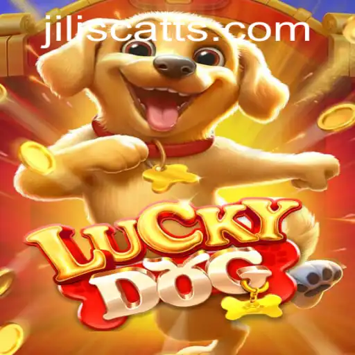 Discover the Thrilling World of 